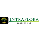 intrafloranursery.png